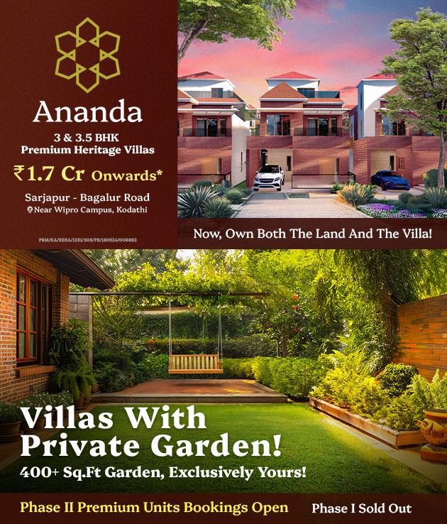 Bluejay Ananda 16 May