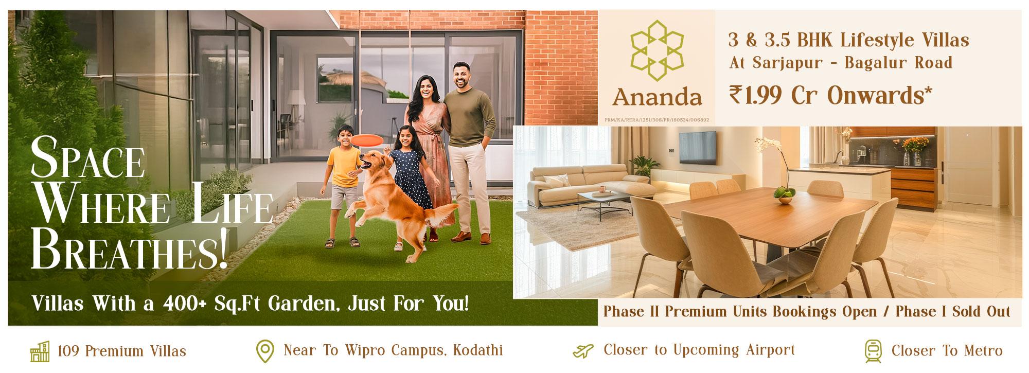 Bluejay Ananda 11Sep