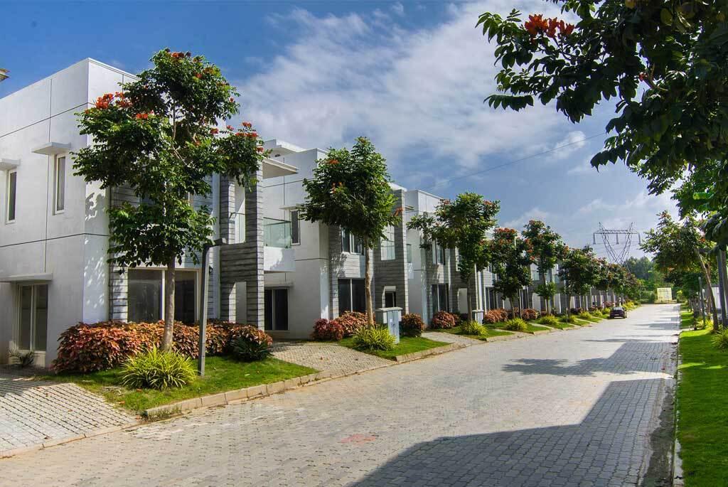  Aster Villas 