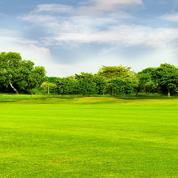 Malgudi Villa Plots
