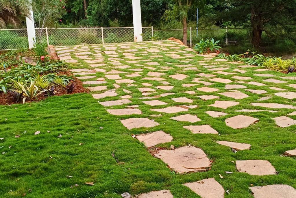  Atmosphere II Premium Plots 