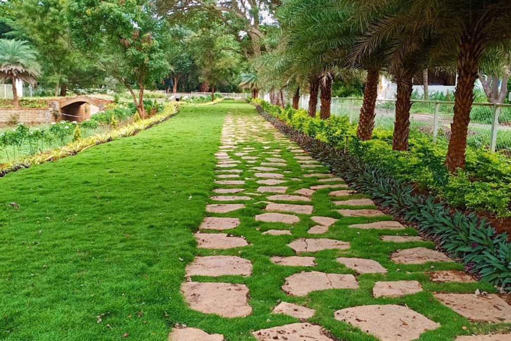  Atmosphere II Premium Plots 