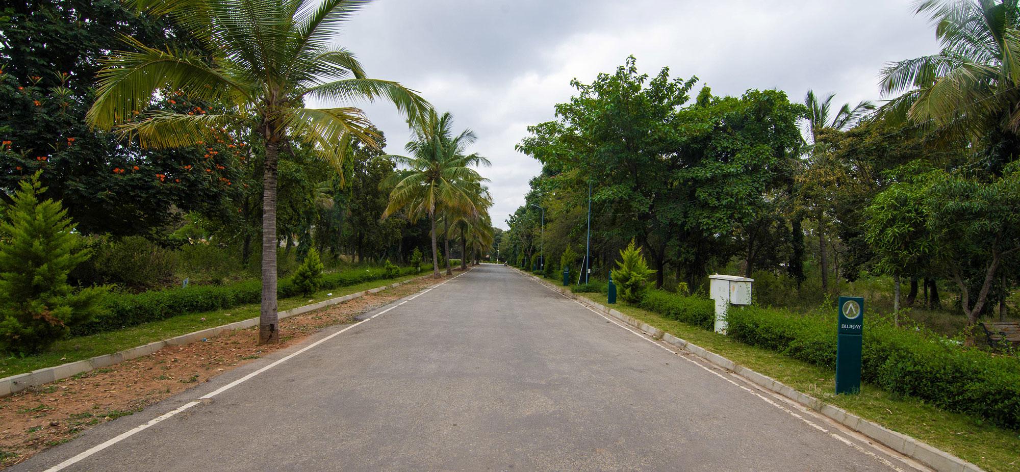 Atmosphere II Premium Plots