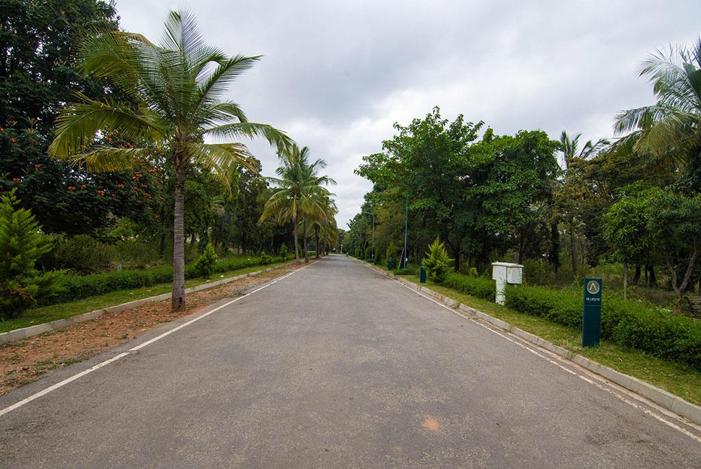  Atmosphere II Premium Plots 