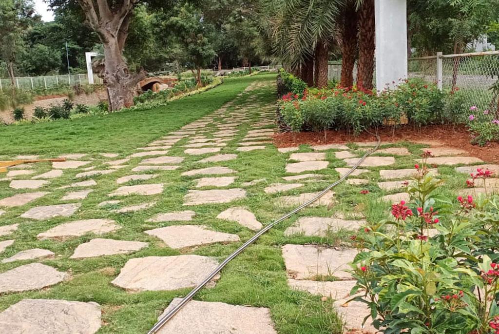  Atmosphere II Premium Plots 