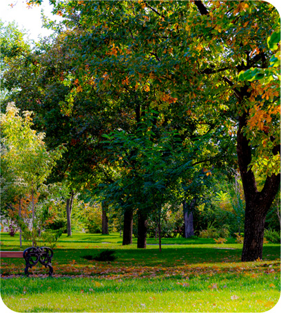 Meditation Park