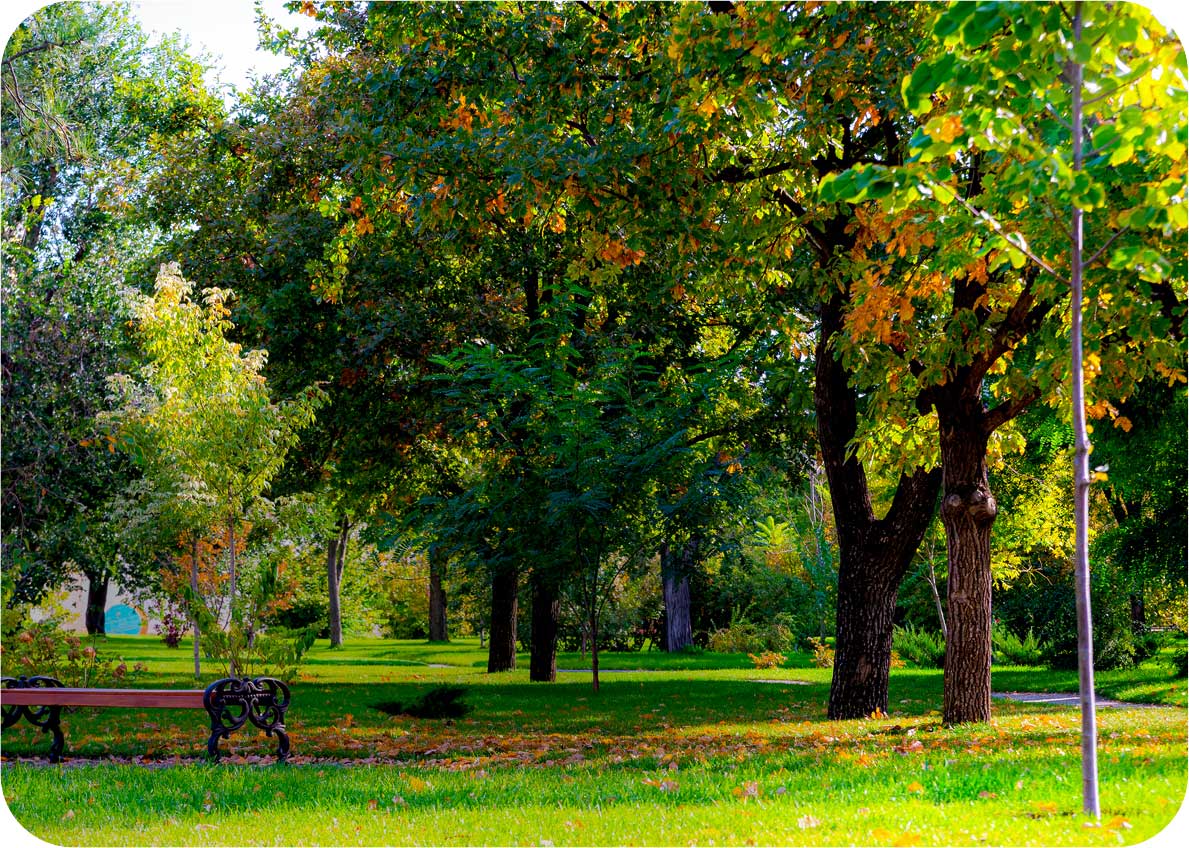 Meditation Park